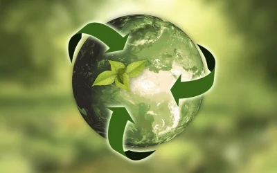 3 Sustainable and Cost-Effective Packaging Solutions