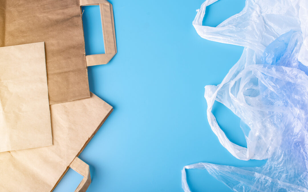 Paper vs. Plastic Bags?
