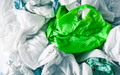 Unveiling Truths and Myths: What Does Plastic Bag Recycling Really Entail?