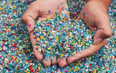 What Is the Difference Between Post-Consumer Recycled Content (PCR) and Post-Industrial Recycled Content (PIR)?